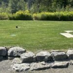 Premium Residential Estate Maintenance